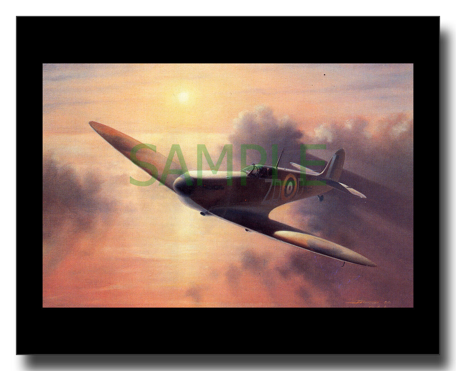 Supermarine Spitfire Mk 1a of 222 Squadron framed picture Charles Thompson