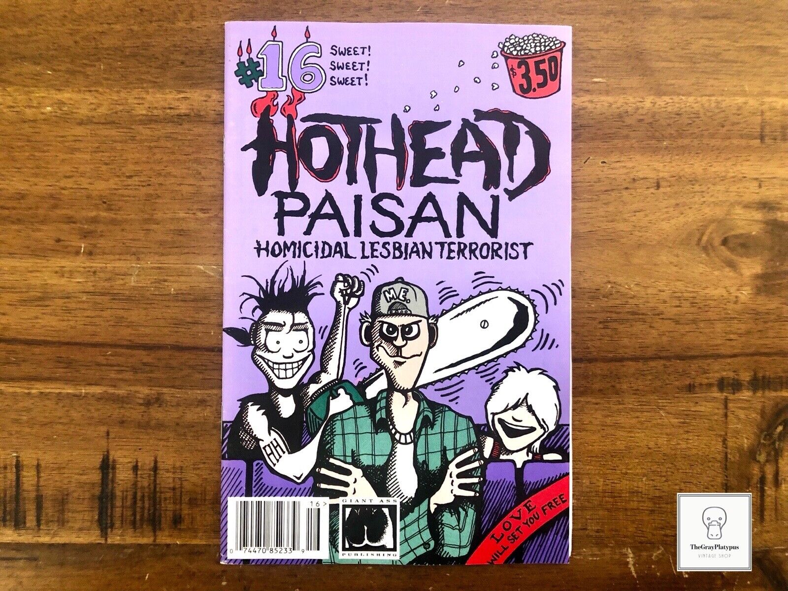 🌈 1994 Hothead Paisan: Homicidal Lesbian Terrorist #16 Comic Book /NM-VF