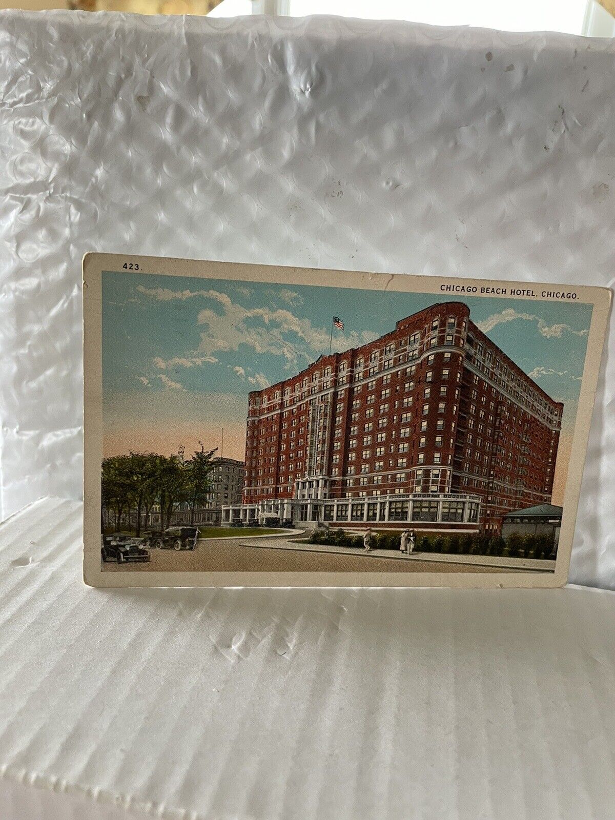 Chicago, Ill, Vintage Post Card , Ref #  2160