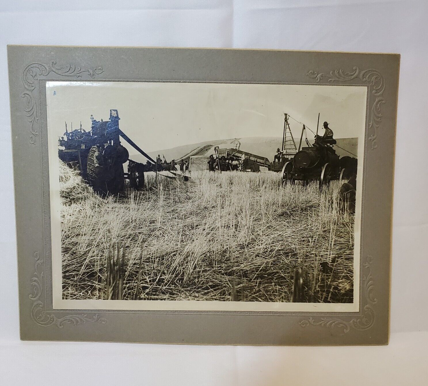 Early 1900s Photo. Wheat Harvest. Steam Tractors. Eastern Washington 8.5x6.5
