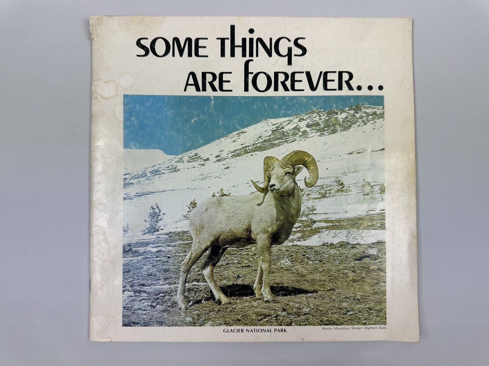 Glacier National Park Some Things Are Forever Montana 1970 Picture Book Vintage