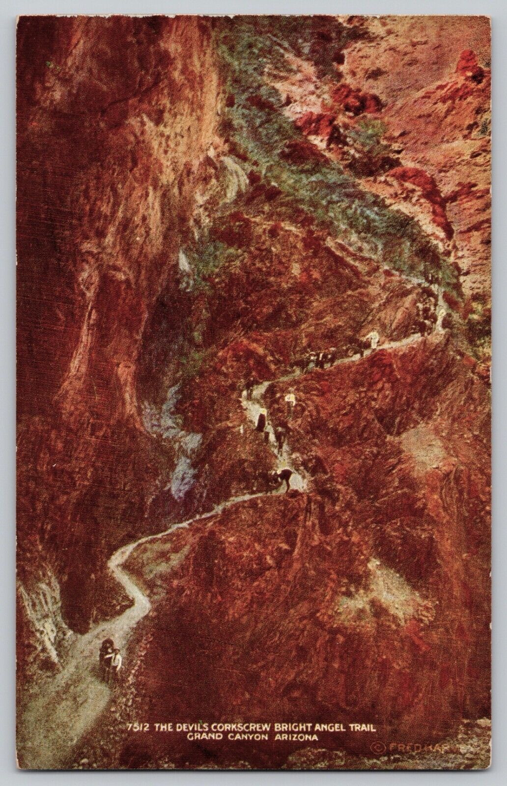 Postcard - Fred Harvey, Grand Canyon, AZ - Devil\'s Corkscrew, Early 1900s (M6b)