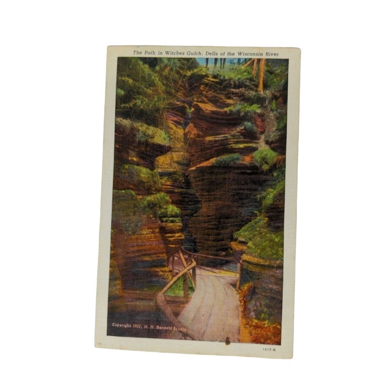 Postcard The Path in Witches Gulch Dells of Wisconsin River Vintage 1931 Unused