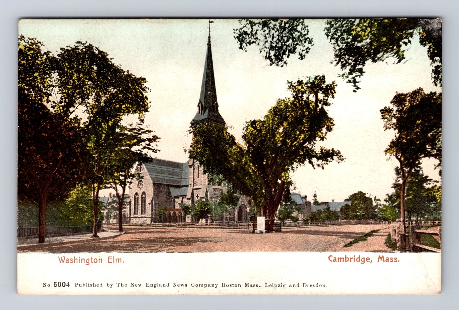 Cambridge MA-Massachusetts, Washington Elm, Antique, Vintage Souvenir Postcard