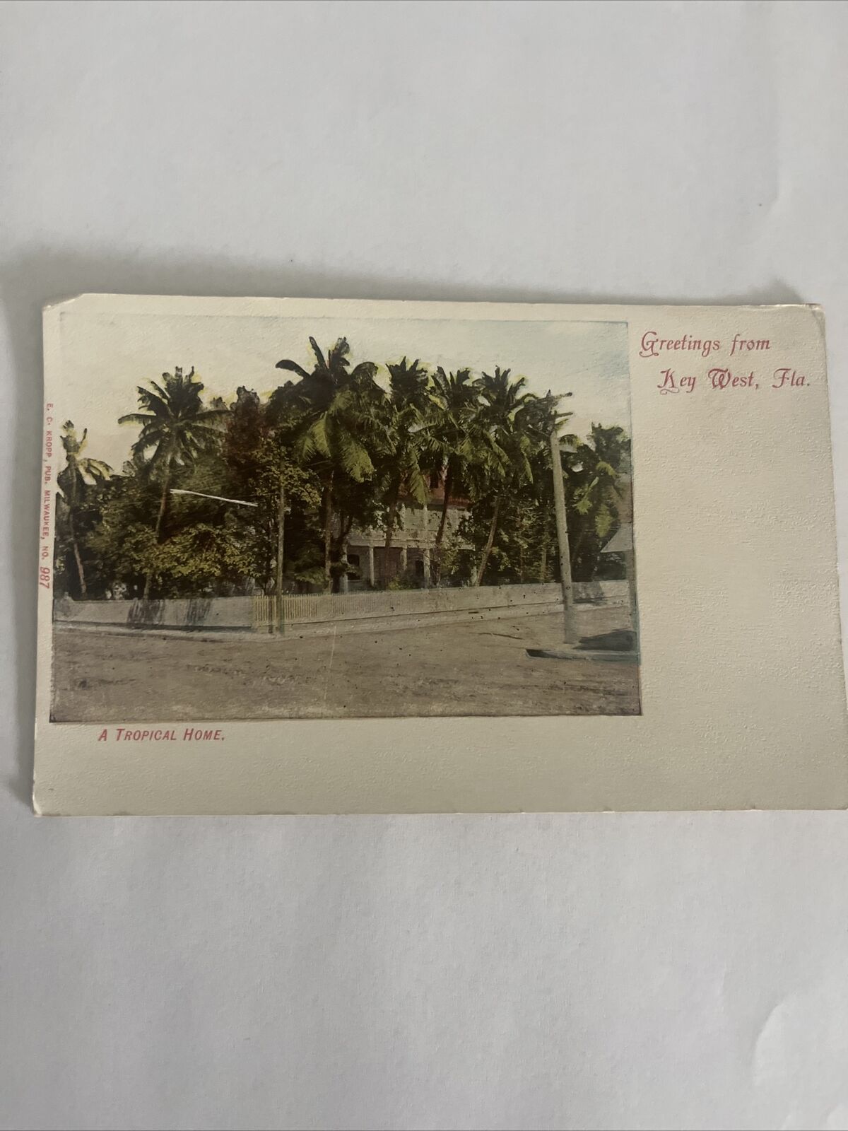 c.1905 Tropical Home Key West FL post card . Scarce Image