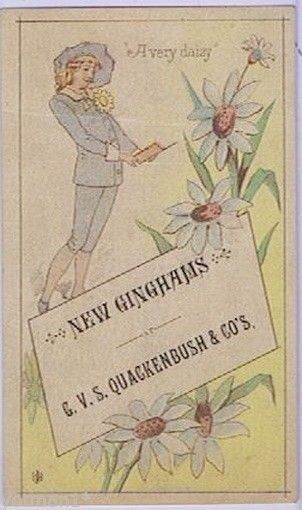 G.V.S. Quackenbush & Co\'s New Ginghams w/ Daisies, Victorian Trade Card 1880s