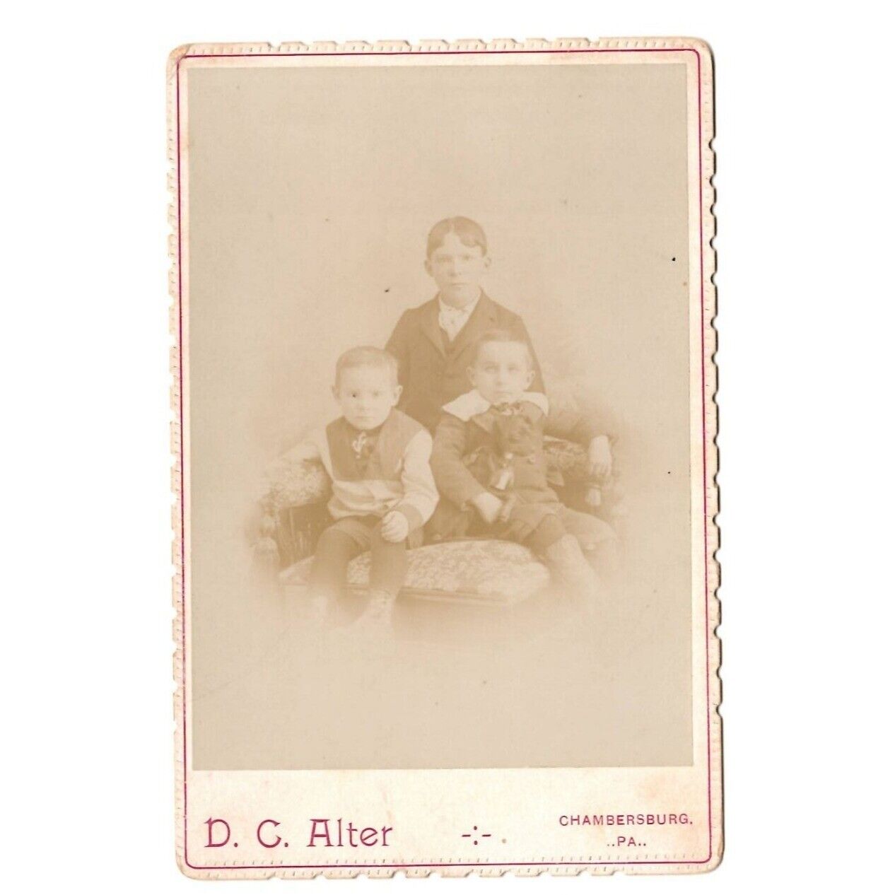 Cabinet Card Photograph Three Boys Siblings D.C. Alter Chambersburg PA Antique