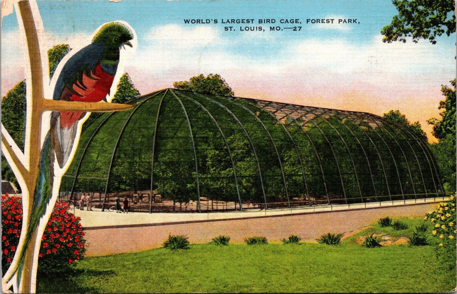 Postcard Worlds Largest Bird Cage forest Park St Louis Missouri [bt]