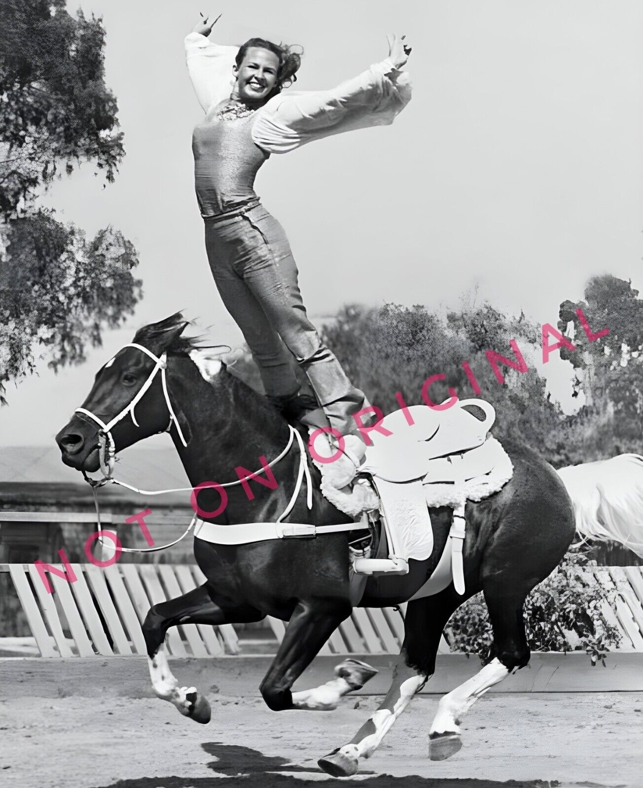 8x10 Vintage Photo High Def Reprint of Woman Trick Rider on Horse Stunt Riding