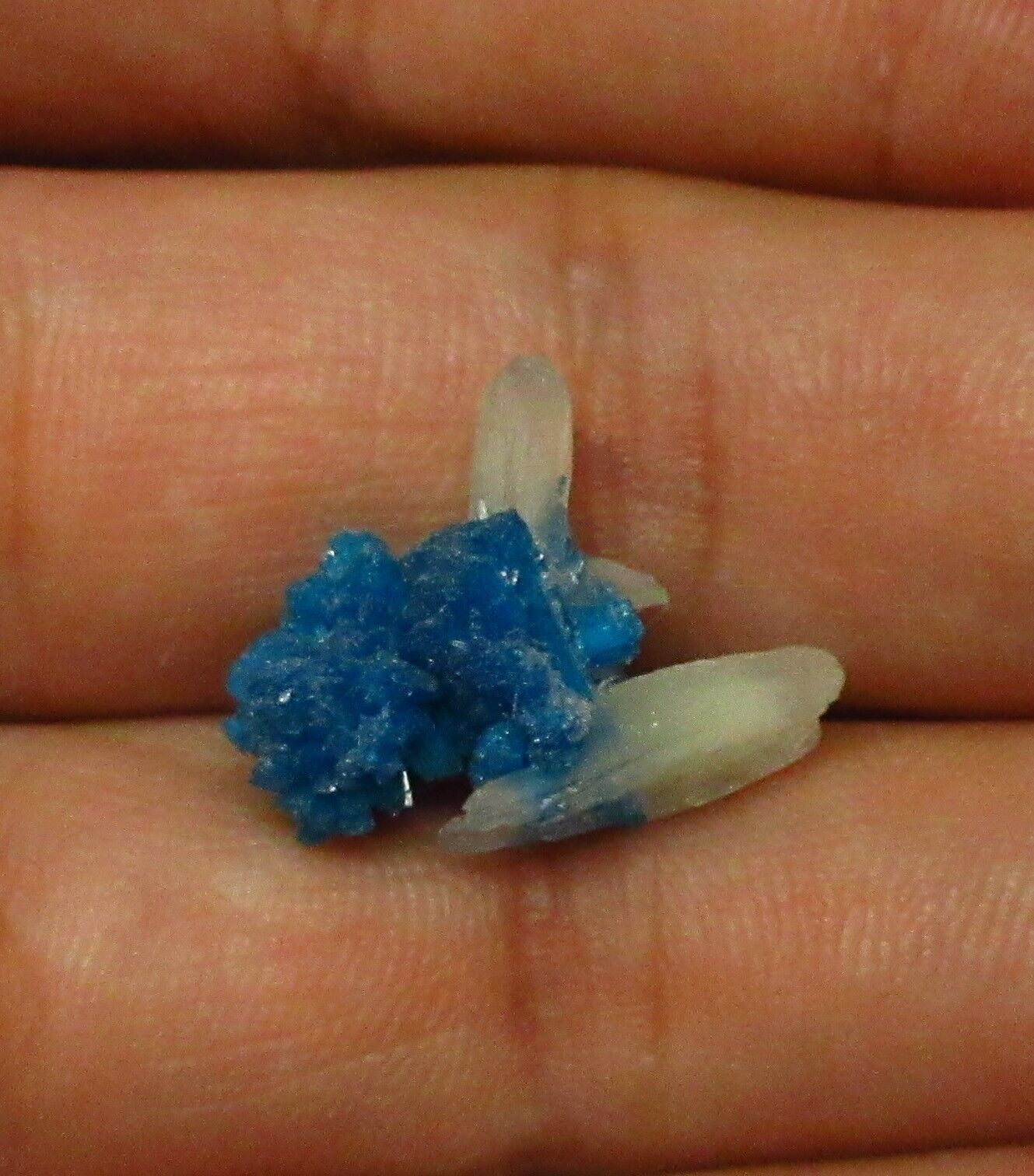 Dark blue Cavansite with stilbite (non-precious natural mineral) #2316