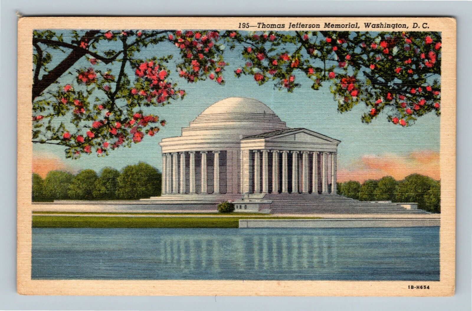 Thomas Jefferson Memorial, Blossoms, Washington DC Vintage Postcard