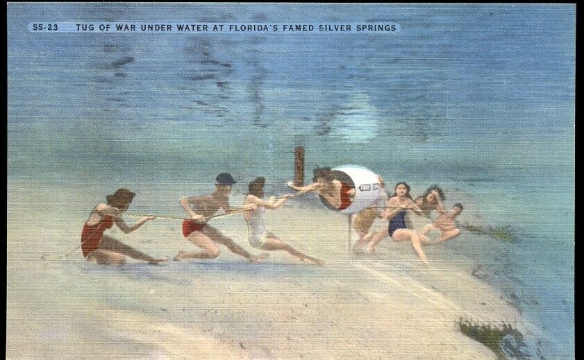Vintage Postcard Silver Spring FL Nature's Underwater Fairyland Women Tug of War