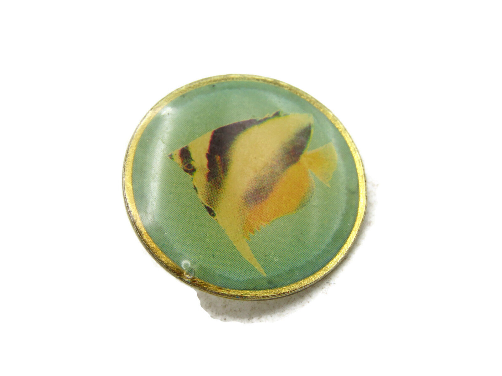 Vintage Round Tropical Fish Pin Pastel & Gold Tone