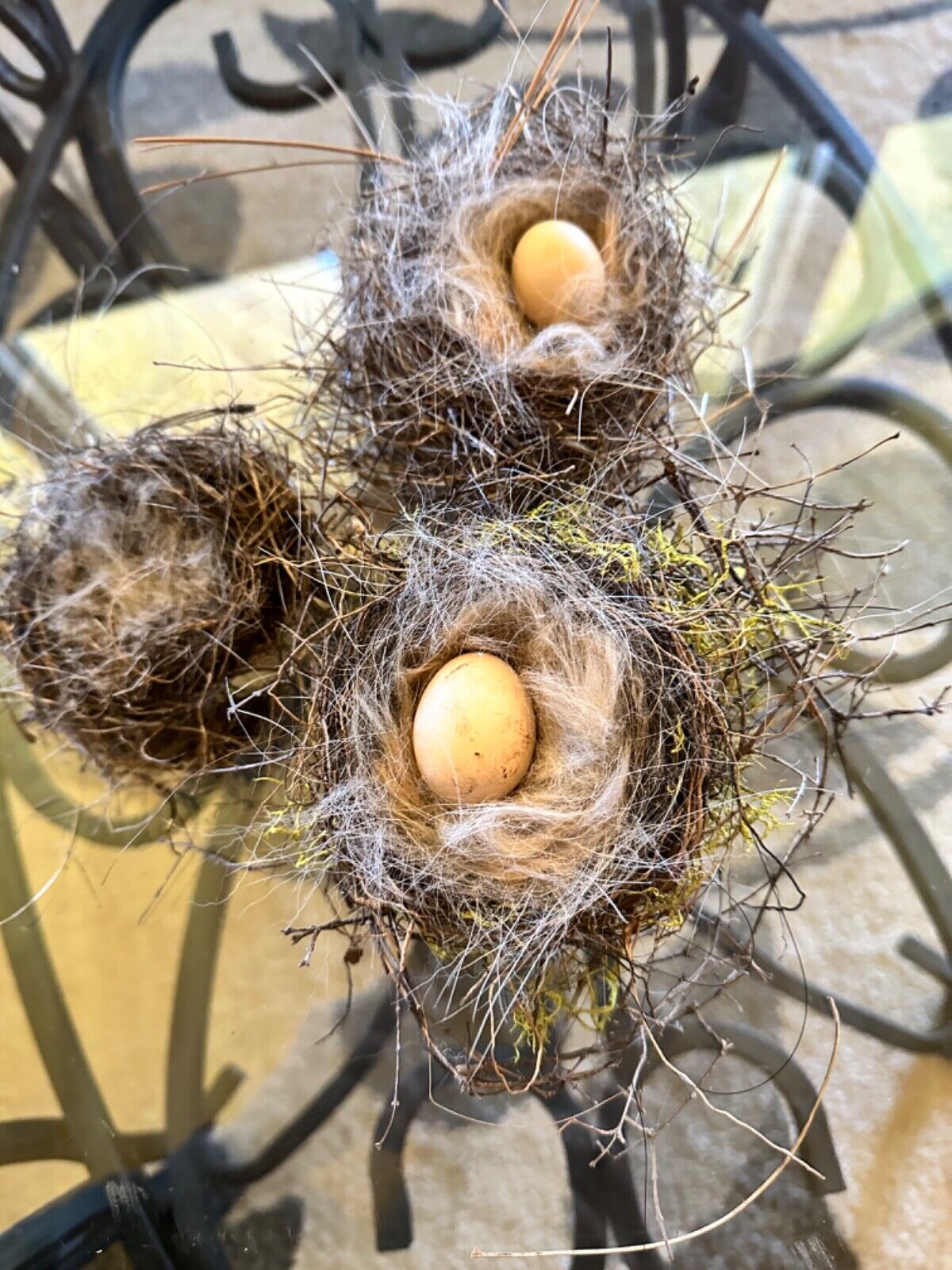 7 Genuine Real Abandoned Bird Nest From Payette National Forest In Bear Idaho