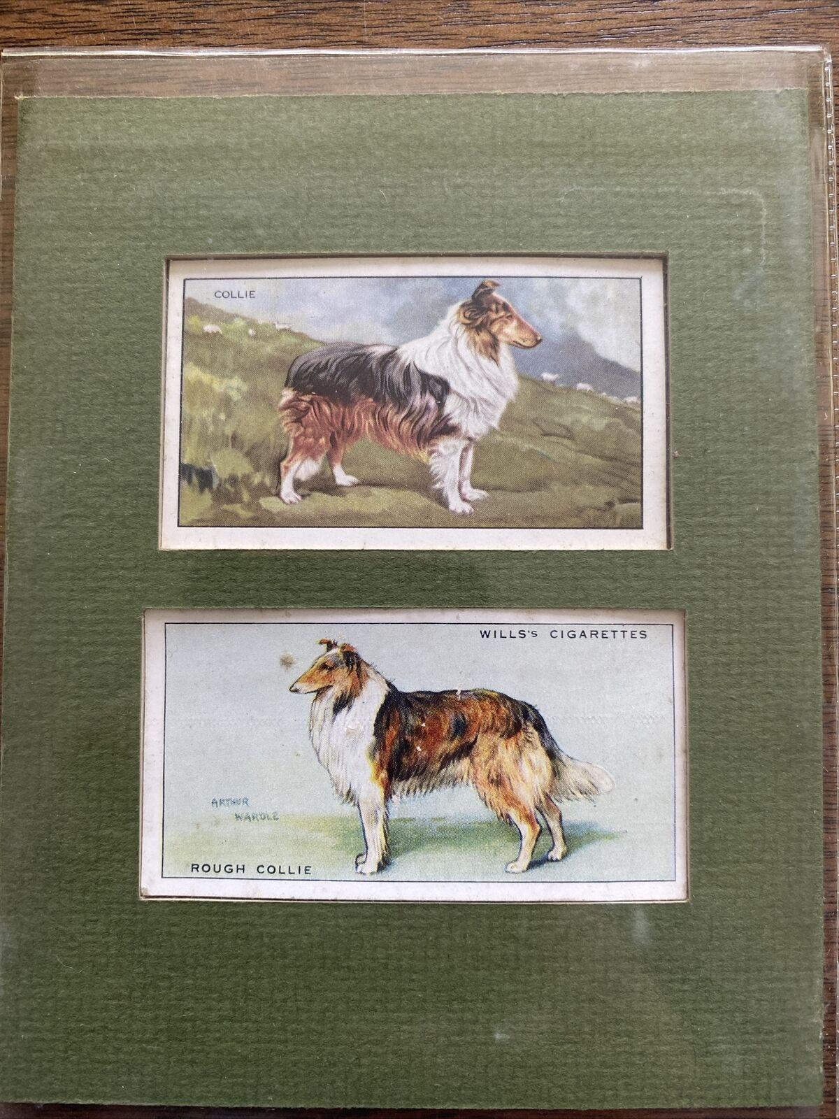 Vintage Dog Cards Collie Collection