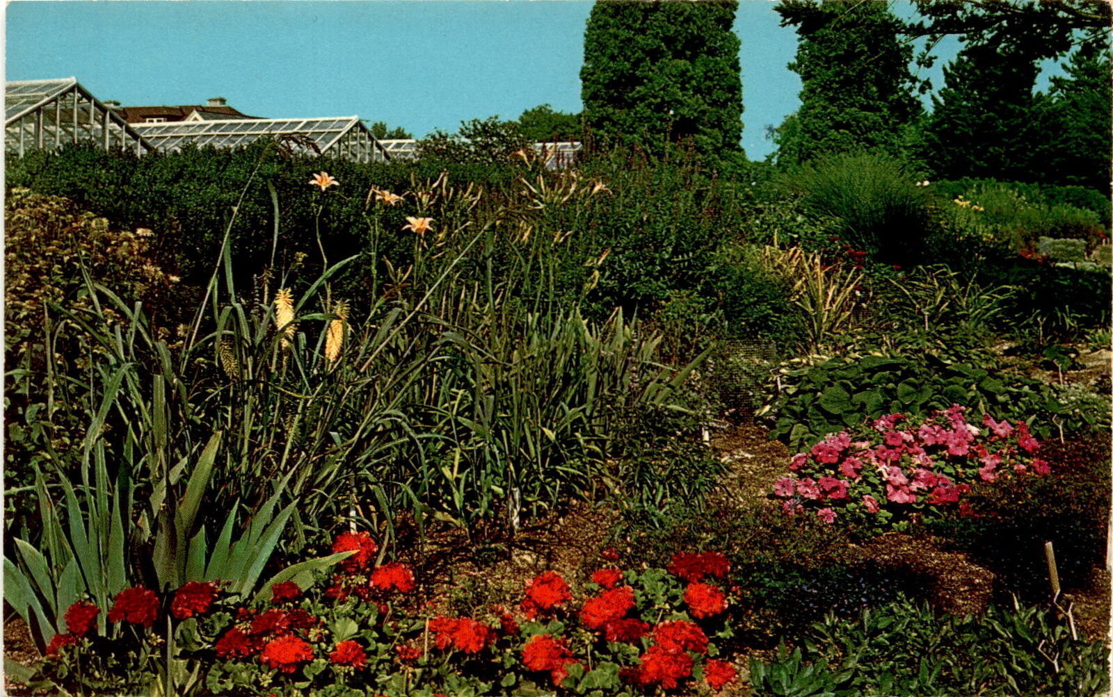 postcard, Perennial Garden, Ohio Agricultural Experimental Station, Postcard