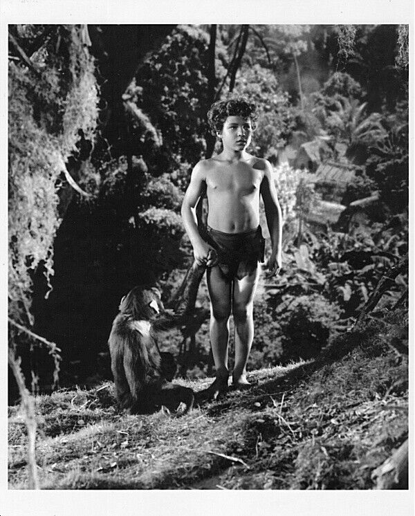 JOHNNY SHEFFIELD 1930\'s Tarzan star High Quality 8x10 reproduction promo photo