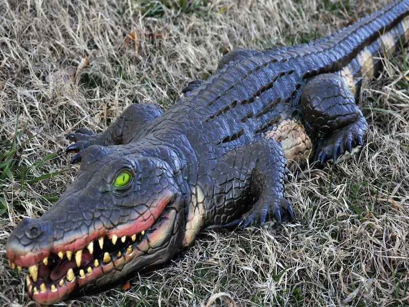 4 Ft Alligator Crocodile Yard Halloween Prop Life Size Fake Swamp Haunted House
