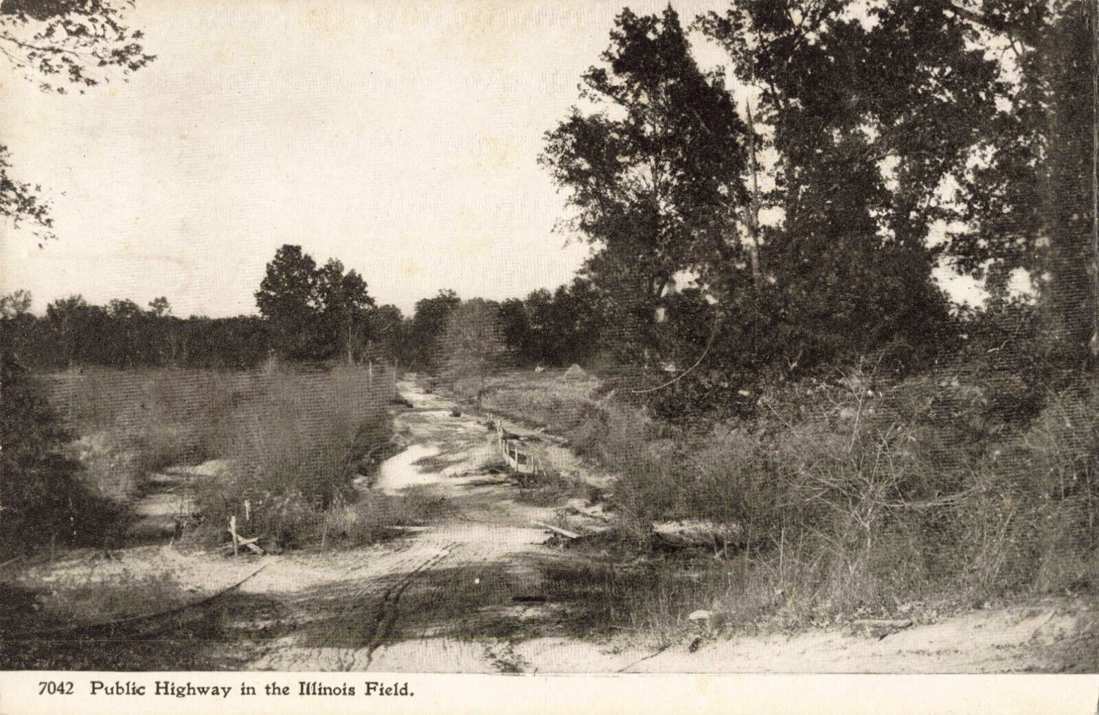 Public Highway in the Illinois Field IL Stoy Crawford County 1908 Postcard