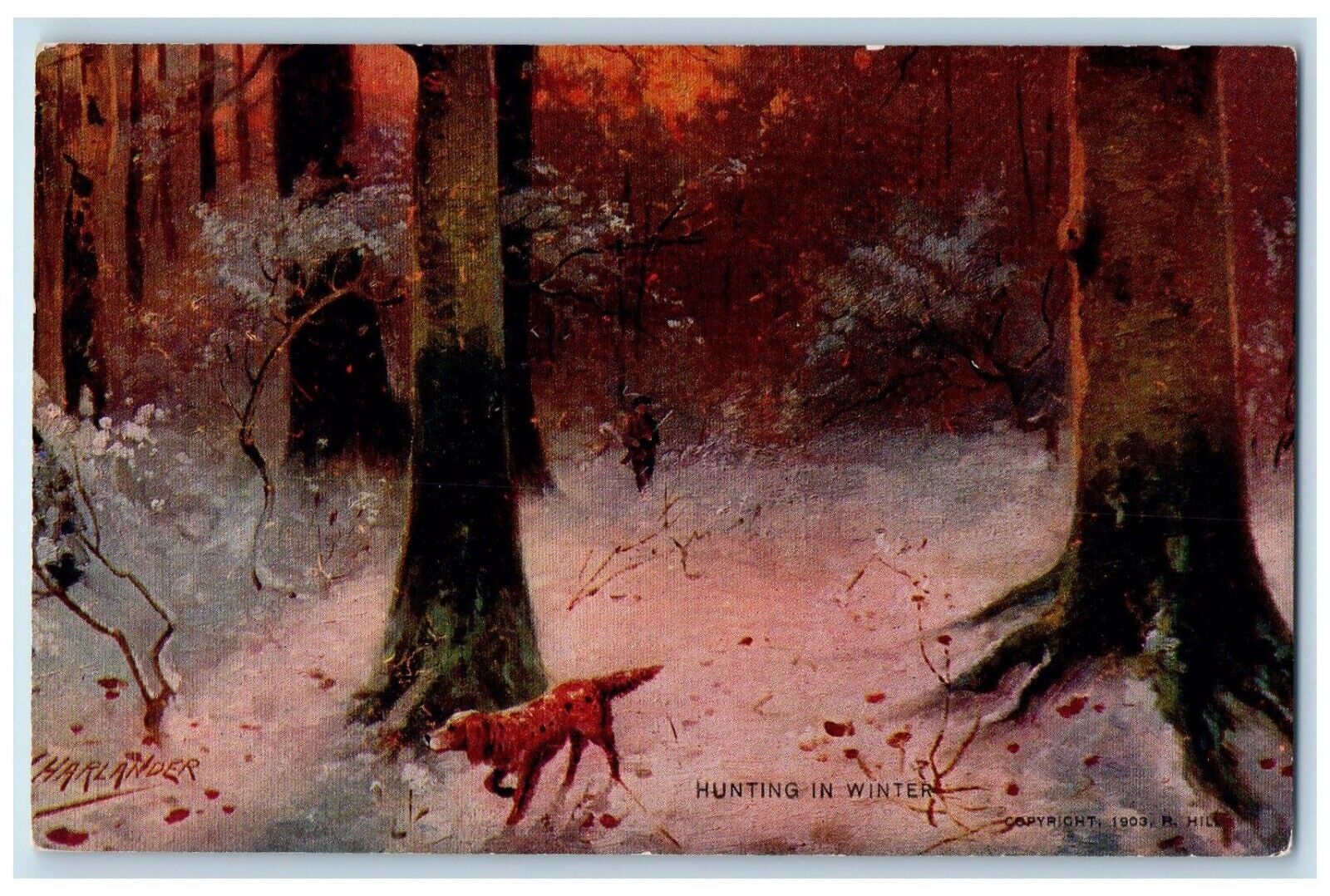 c1905 Dog Hunting In The Winter Forest Trees Unposted Antique Postcard