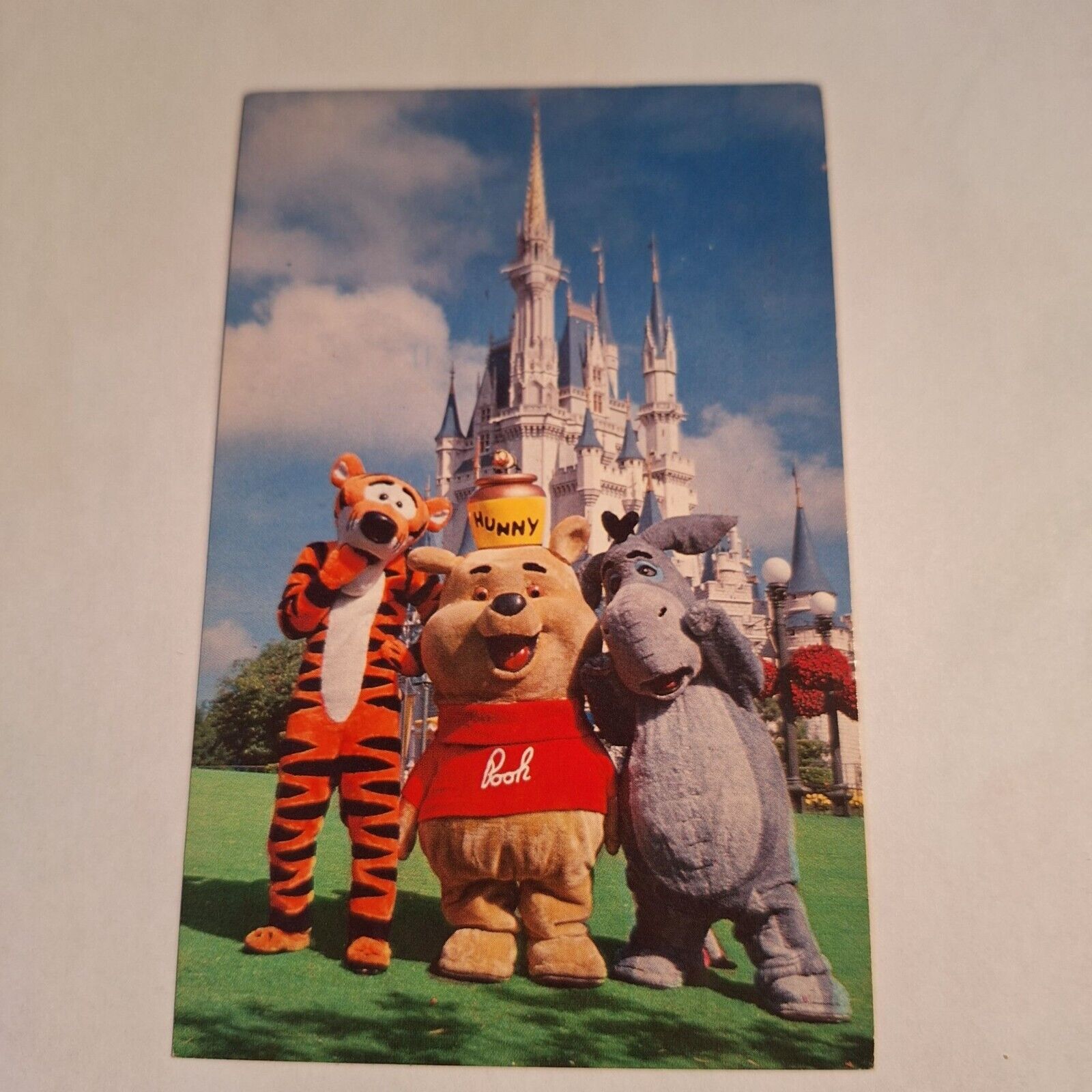 Postcard Walt Disney World Fantasyland Is Just Pooh-Fect Florida Chrome Posted