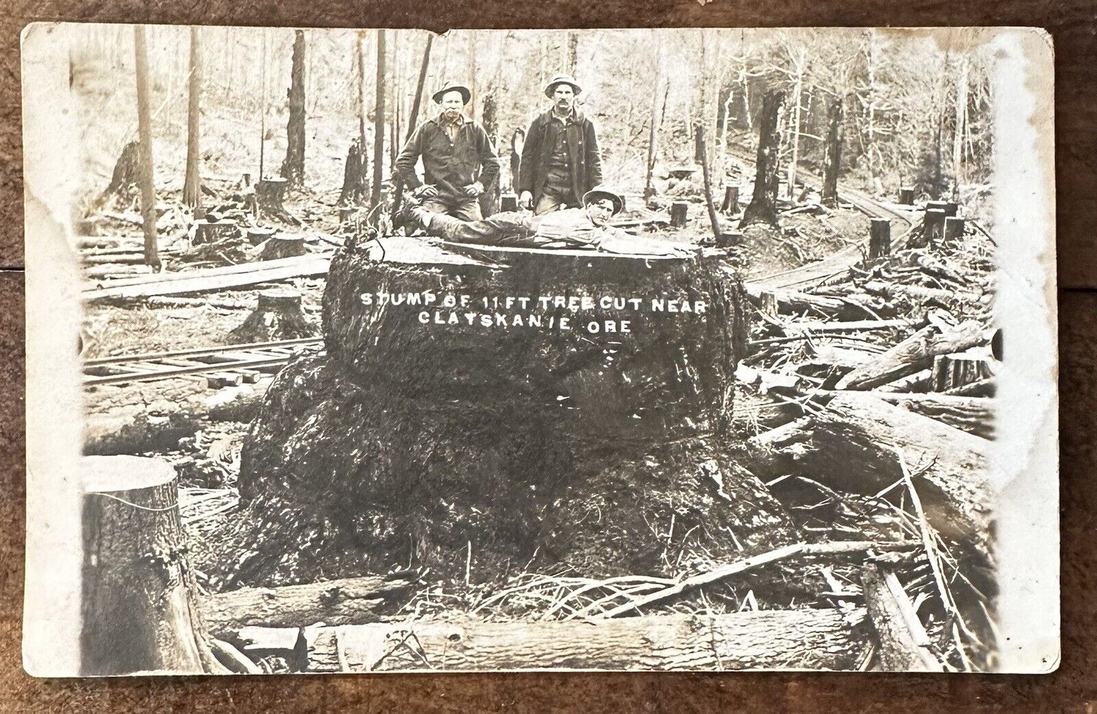Early RPPC Clatskanie Oregon Lumberjacks Tree Stump Logging Real Photo Postcard