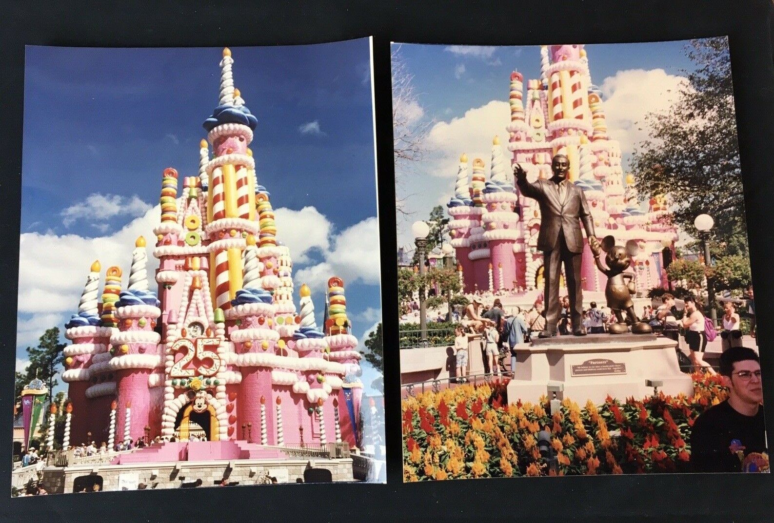 Walt Disney World 25th Anniversary Cinderella Birthday Cake Castle 8 x 10 Photos