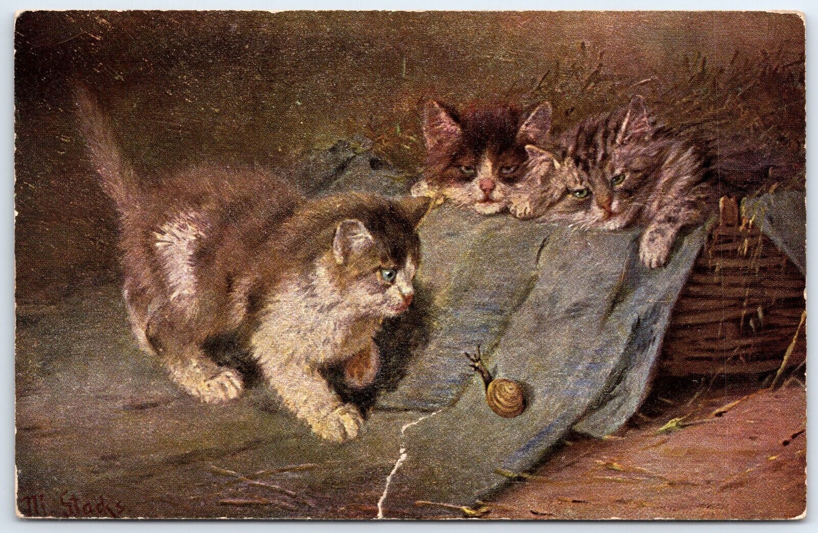 Ancient Ak Tierporträt Katzenkarte Three Kittens With Snail 1908