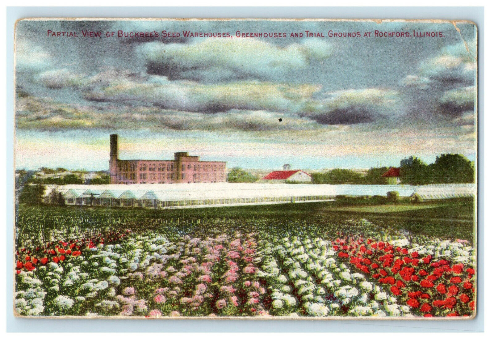 c1910s Buckbee's Seed Warehouses Rockford Illinois IL Advertising Postcard