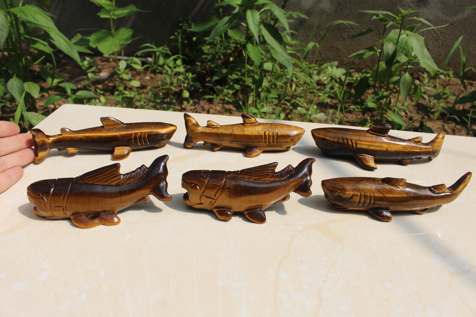  6pcs 11cm-14cm Natural tiger eye quartz  Carved sharks 