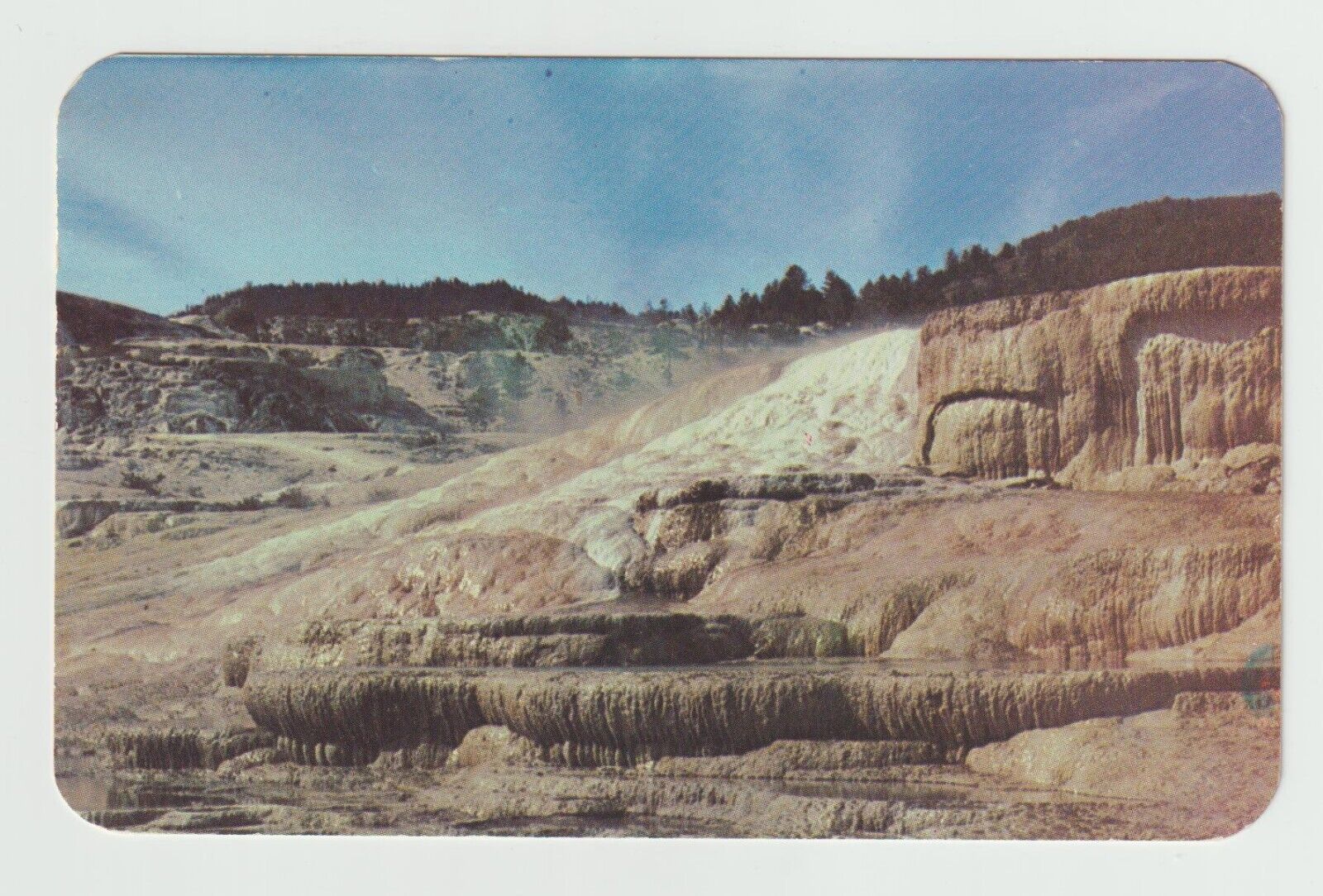 Terraces at Mammoth Hot Springs Yellow Stone National Park Chrome Postcard