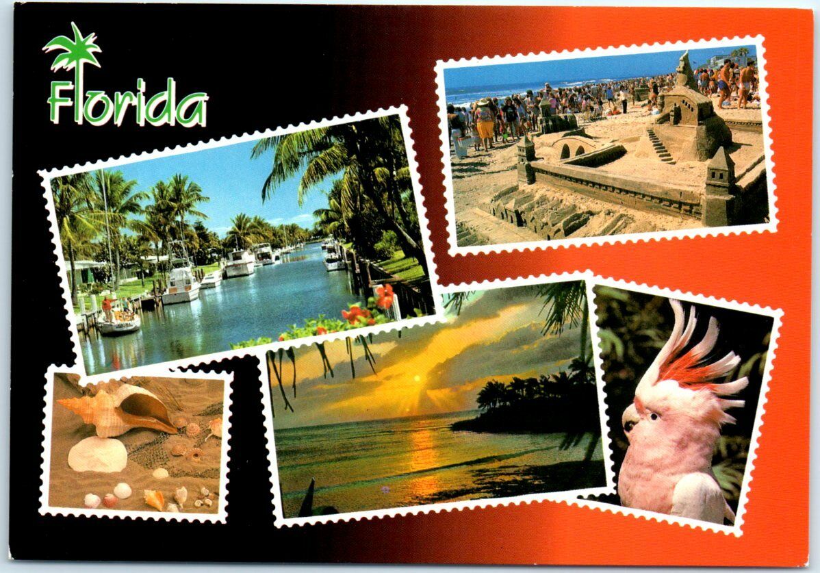 Postcard - Greetings from Florida