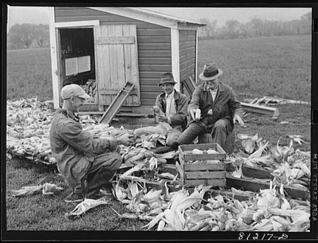 Cortland,New York,NY,Farm Security Administration,Cortland County,1941,FSA,1