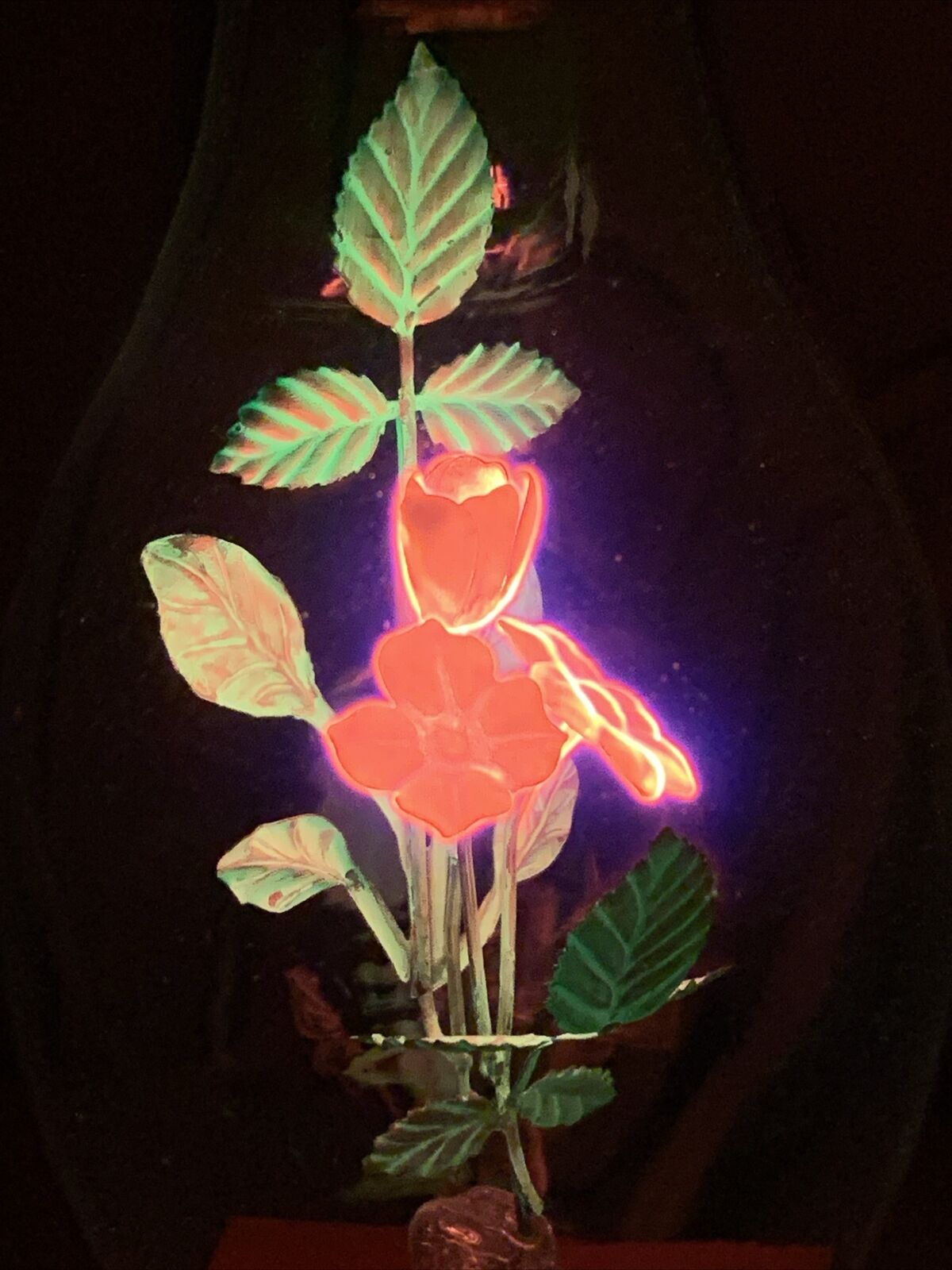 Aerolux Electric Neon Flowers Vintage Light Bulb