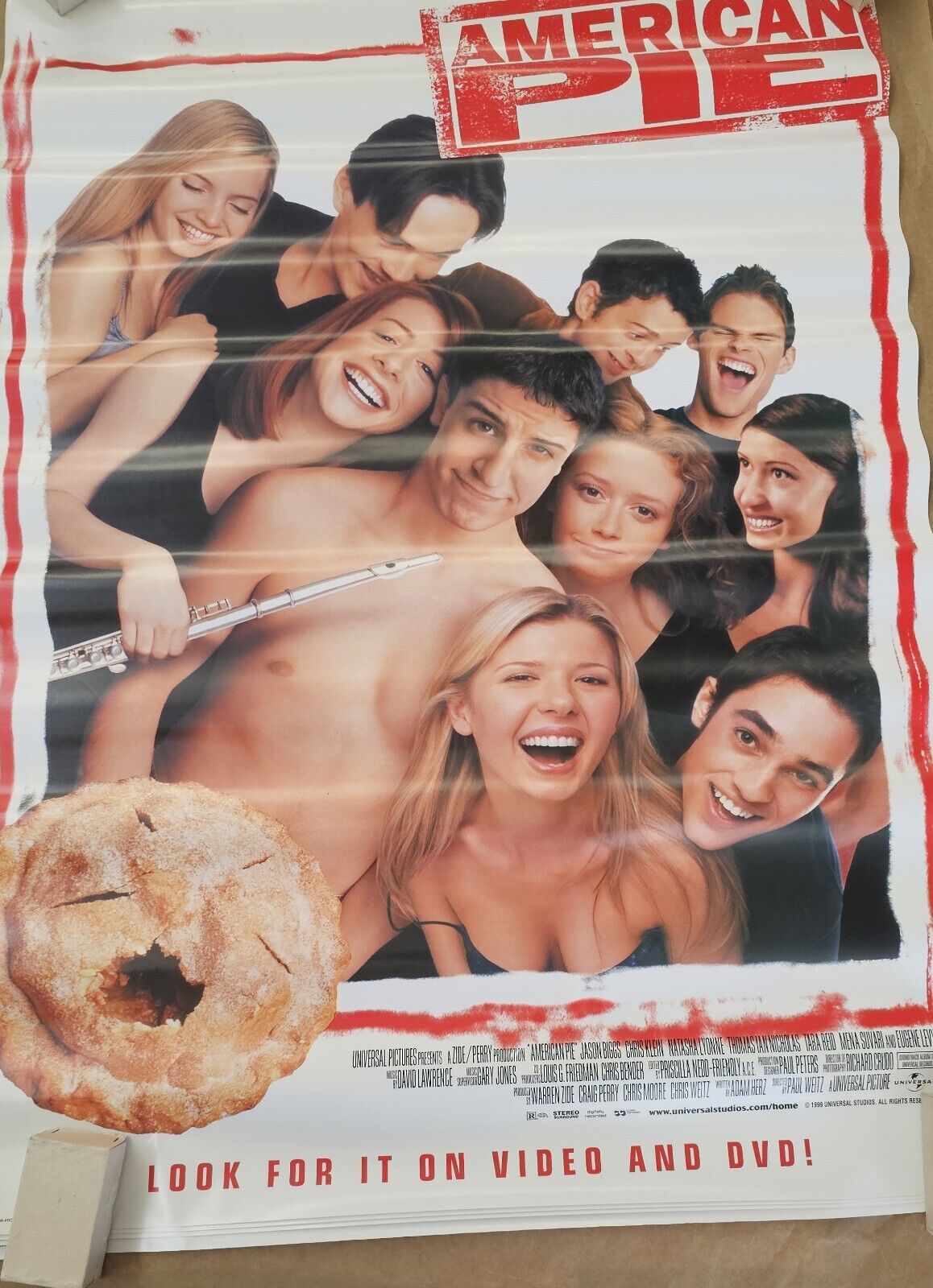 American Pie Cult Classic DVD promotional movie poster
