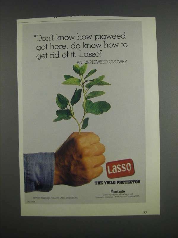 1985 Monsanto Lasso Ad - Don't know how pigweed got here