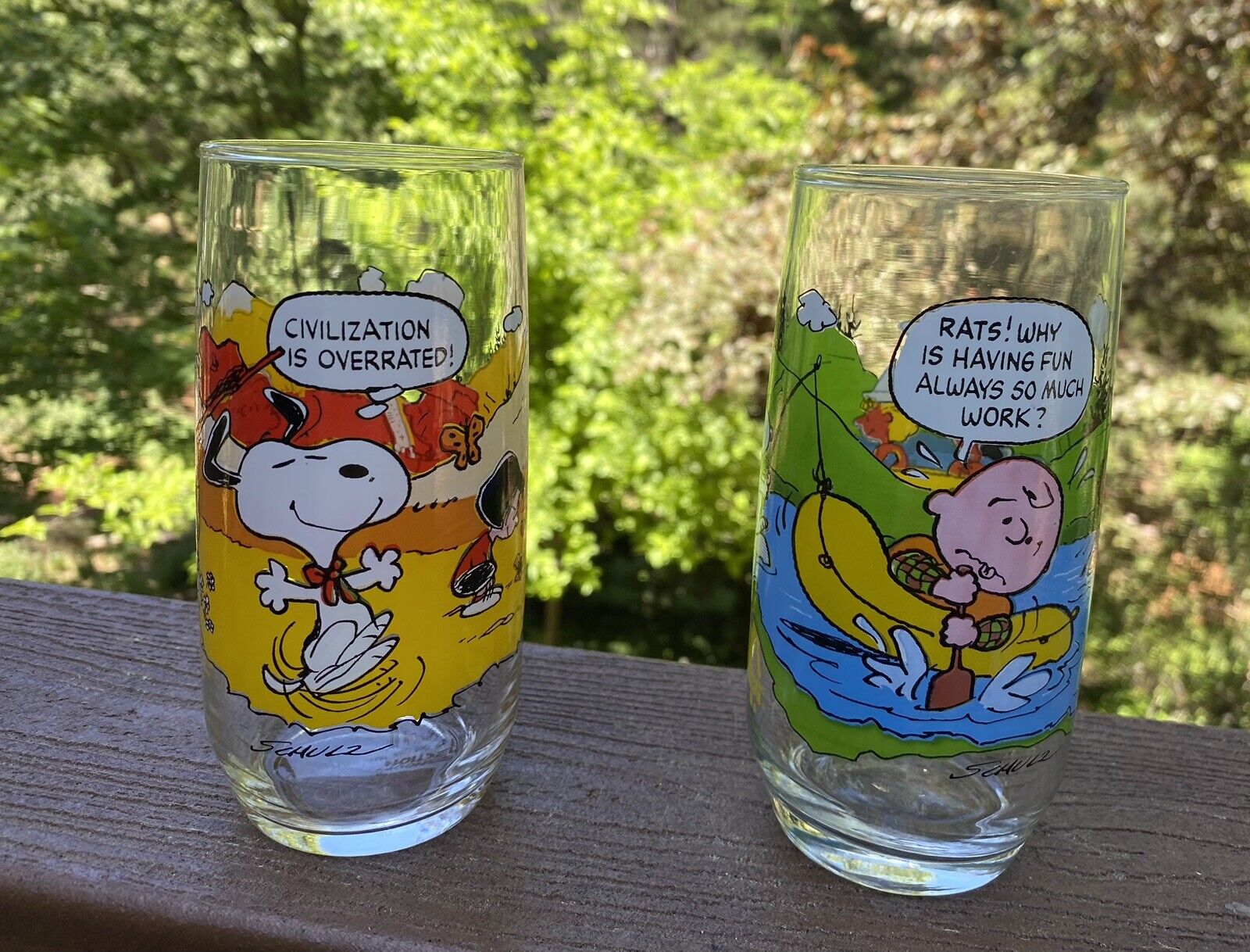 2 Vintage Charlie Brown  Camp Snoopy Drinking Glasses