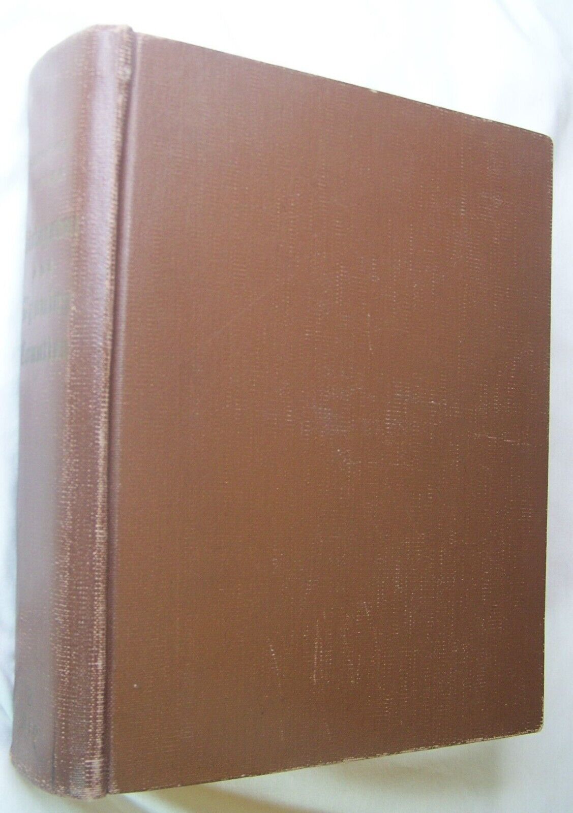 1895 ANTIQUE LIVINGSTON & WYOMING COUNTY NY BIOGRAPHY HISTORY BOOK GENESEO AVON+