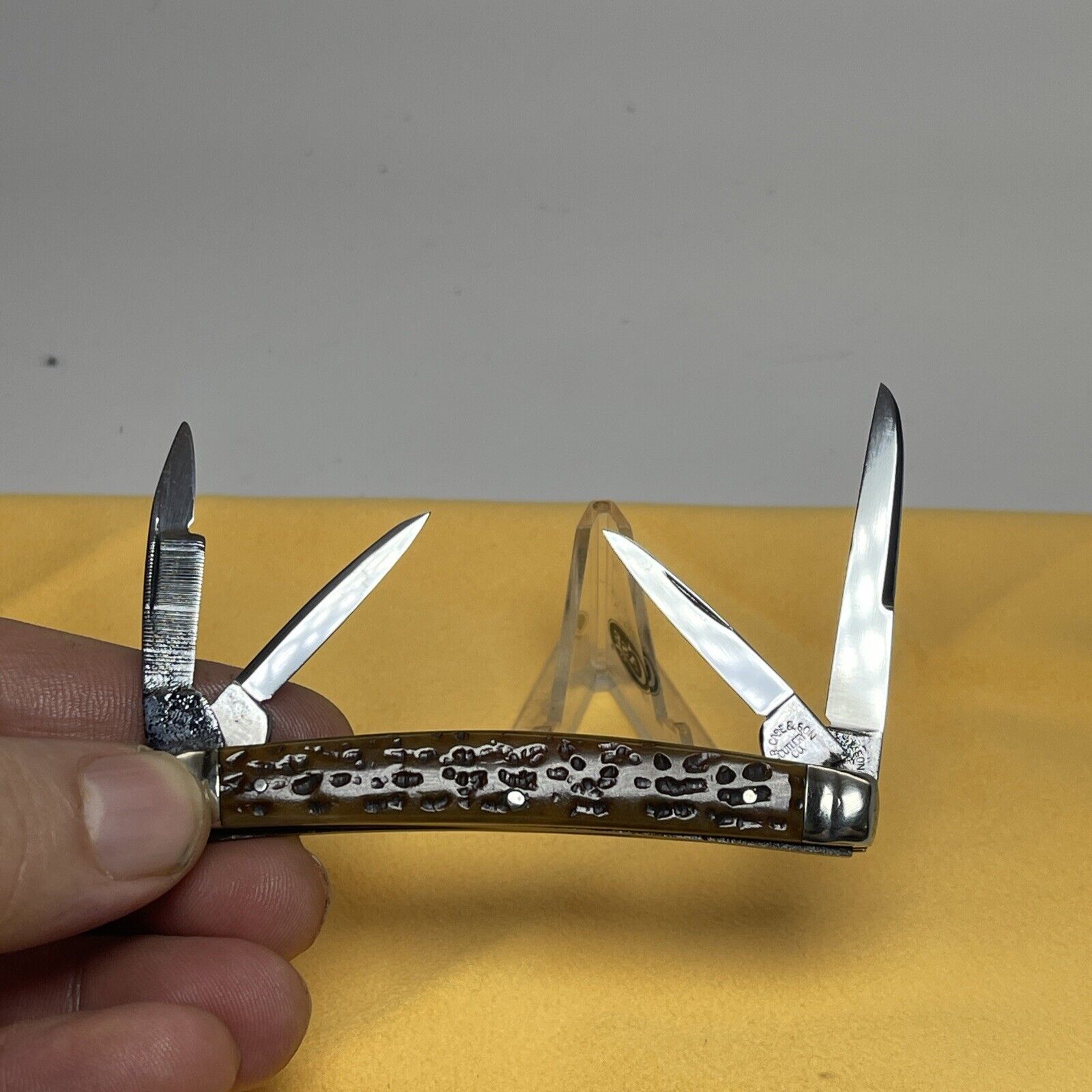 vintage WR Case & Sons cutlery co Congress knife Rogers pick bone 1902-1905