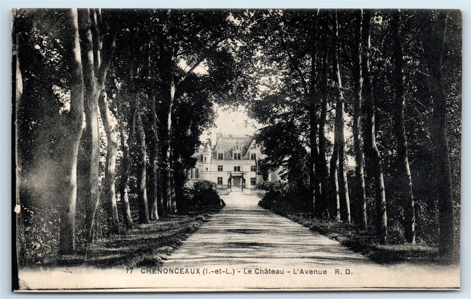 Postcard CHENONCEAUX (1.-et-L.) - Le Château - L\'Avenue R. D. J120
