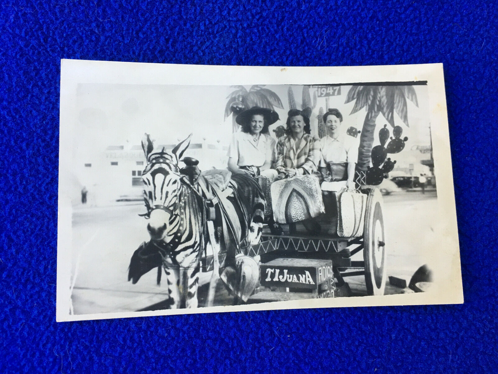 1947 postcard TIJANA mexico BAJA wagon CART souvenir ZEBRA horse TOURIST travel