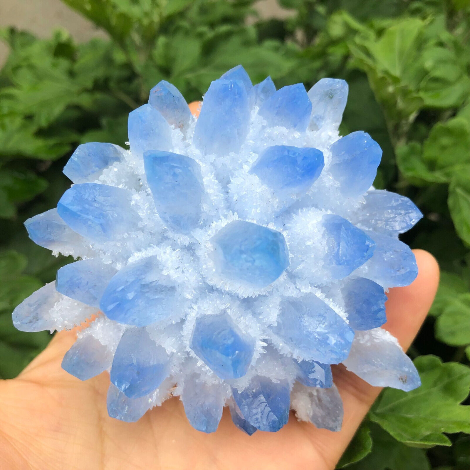 300g+ New Find Blue Phantom Quartz Crystal Cluster Mineral Specimen Healing Gift