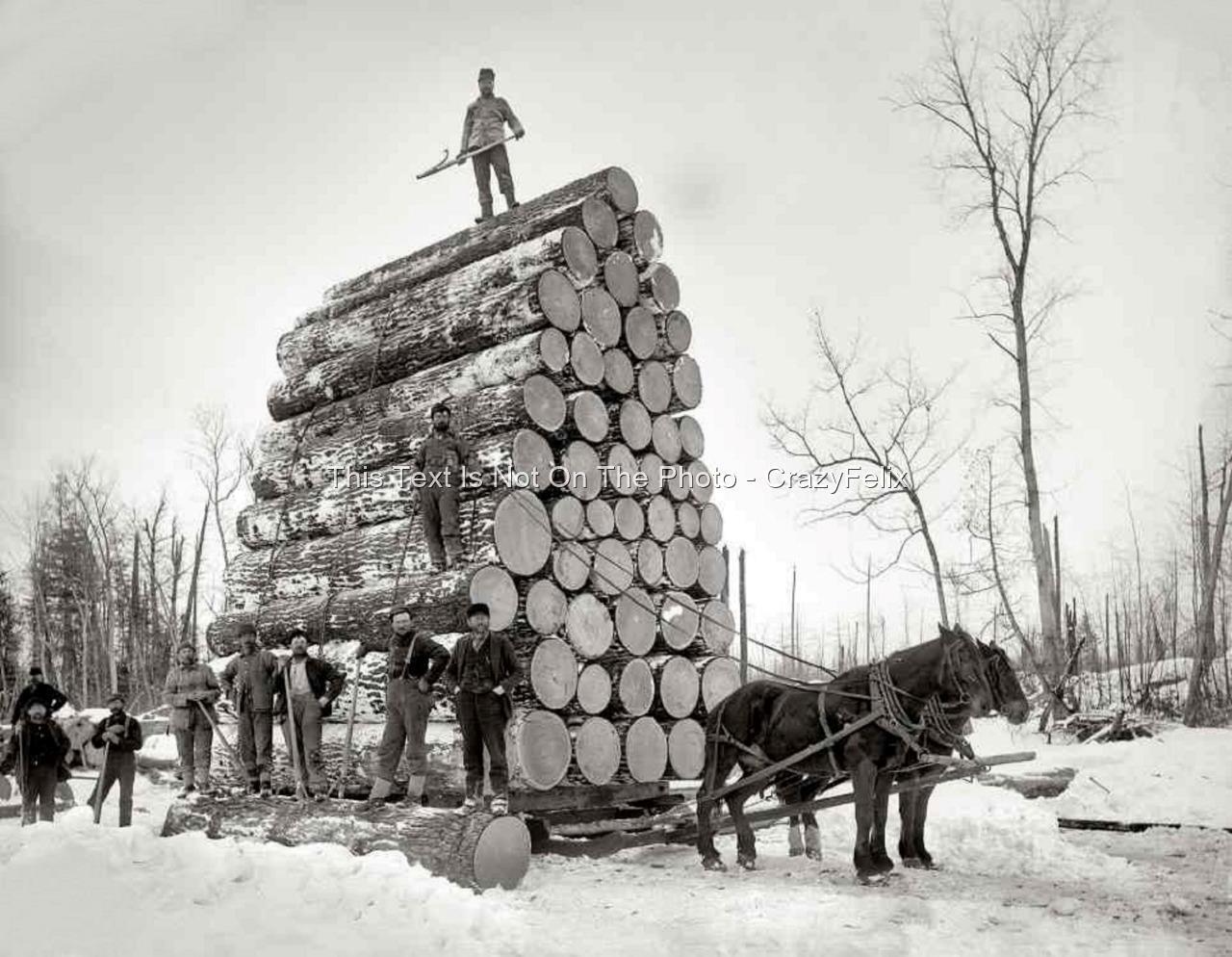 Logging Photo Horse Skidding Northern Wisconsin 1900s Loggers Vintage Print 455C