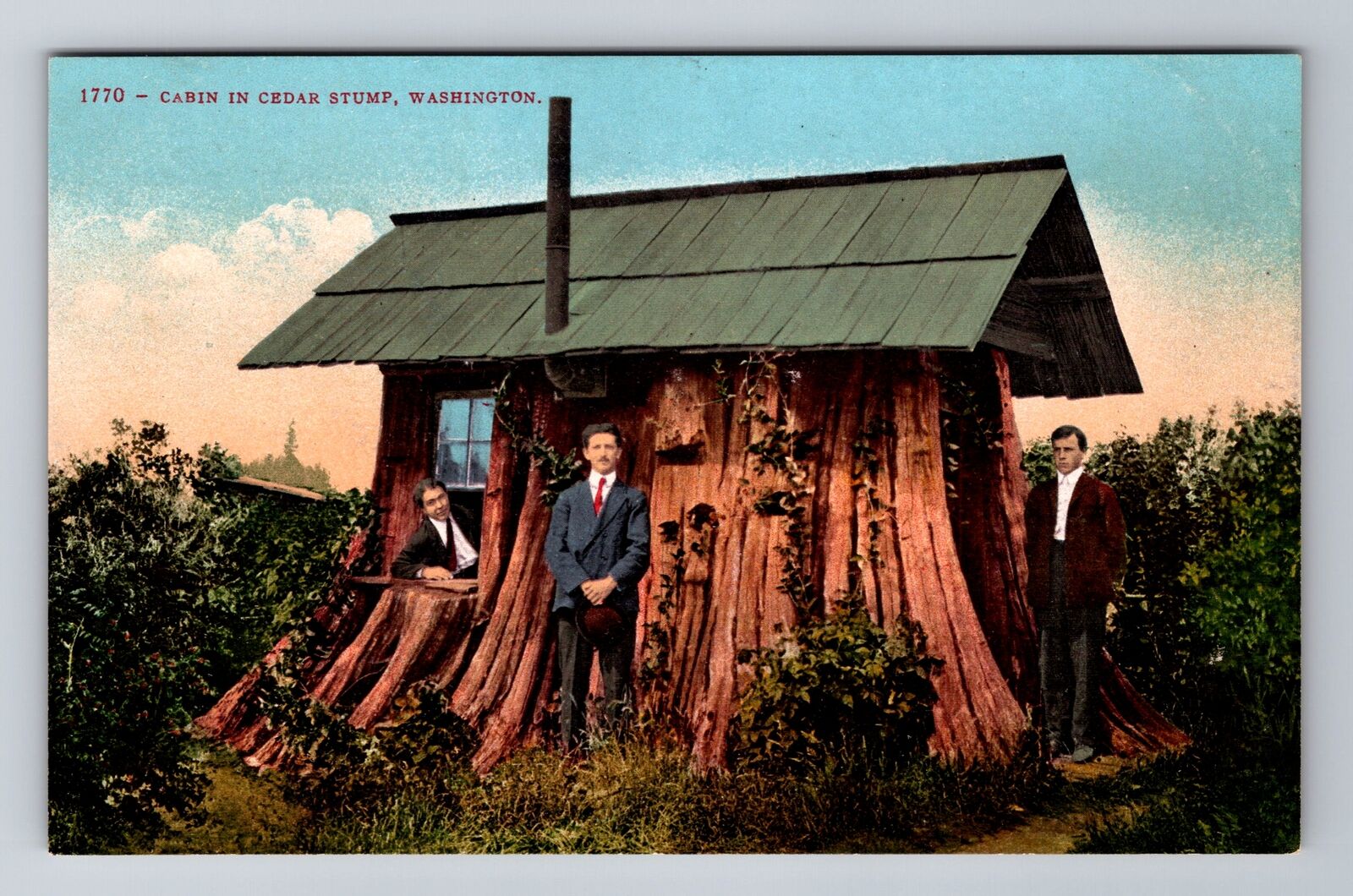 WA-Washington, Cabin In Cedar Stump, Antique, Vintage Souvenir Postcard