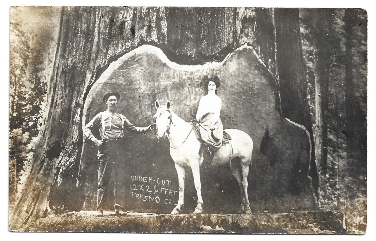 Logging At Fresno California, Antique RPPC Photo Postcard
