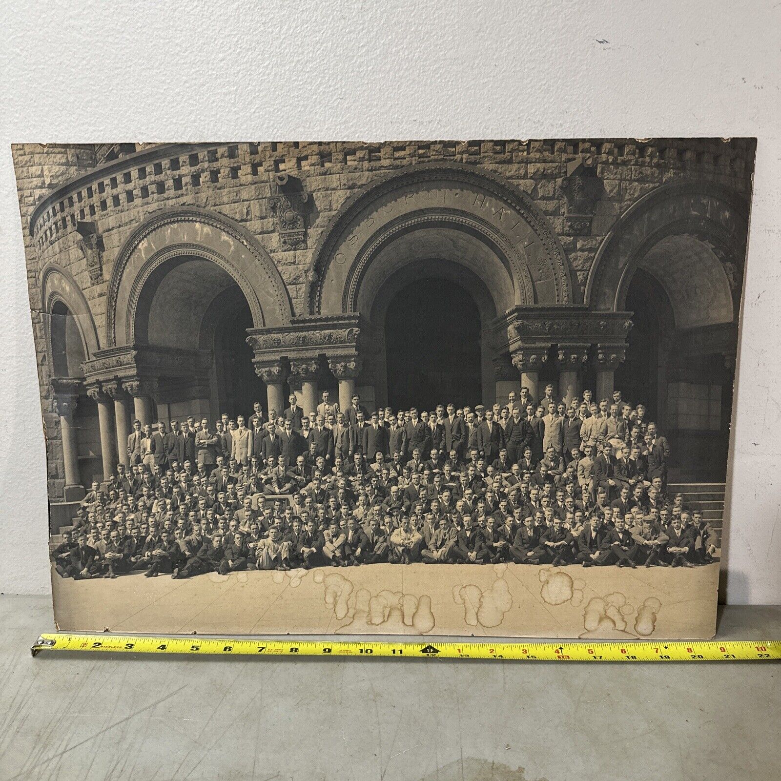 Early 1900’s Yale University Class Photo 21x15” Osborn Hall New Haven CT Albumen