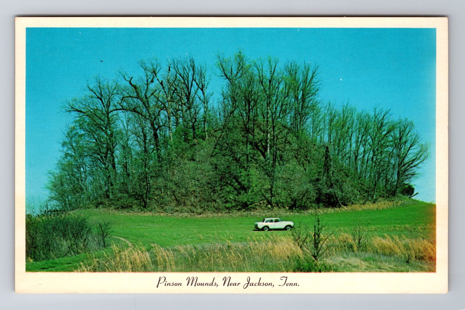 Jackson TN-Tennessee, Pinson Mounds, Antique Vintage Souvenir Postcard