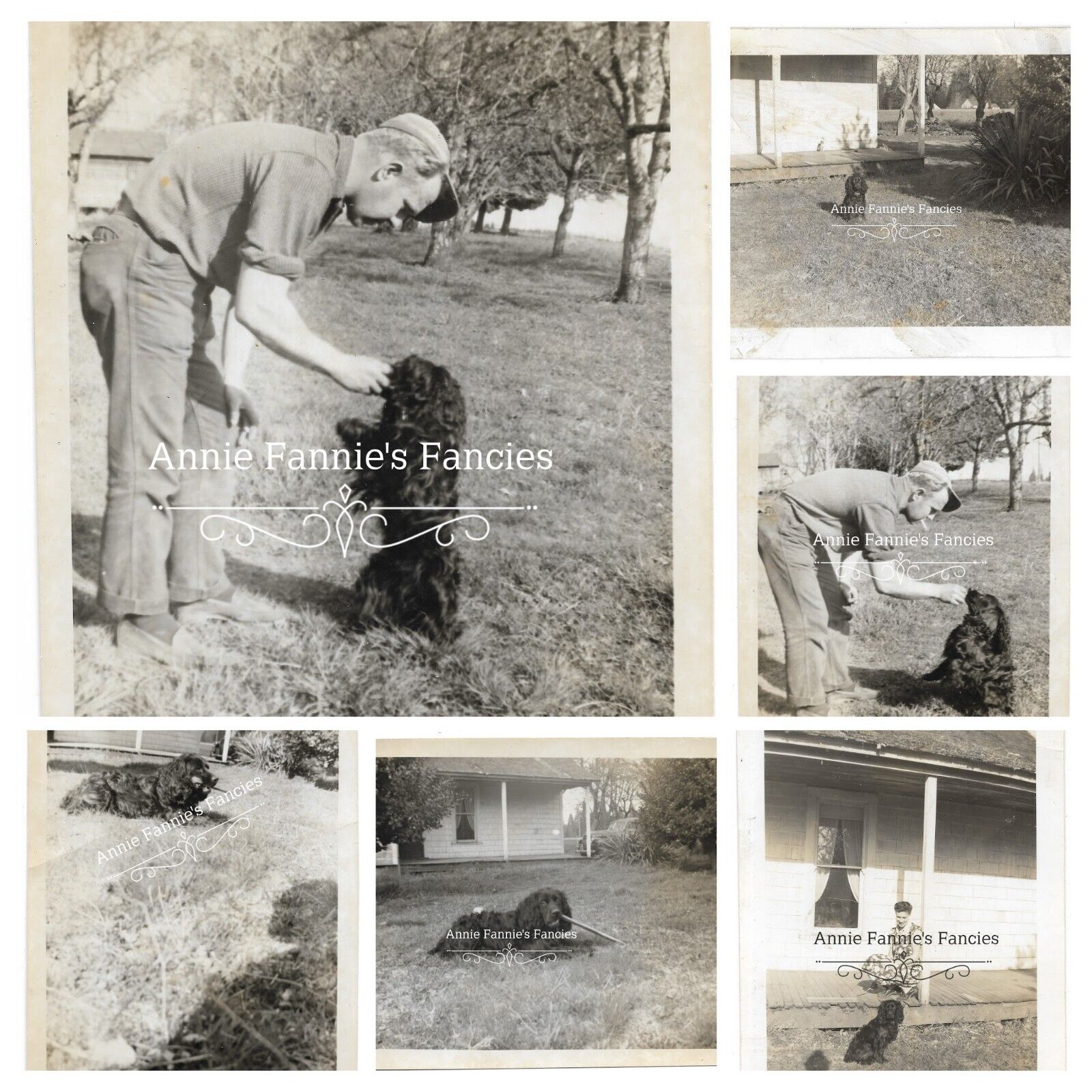6 Vintage Dog Photos Black Cocker Spaniel Man Woman Rural House Originals