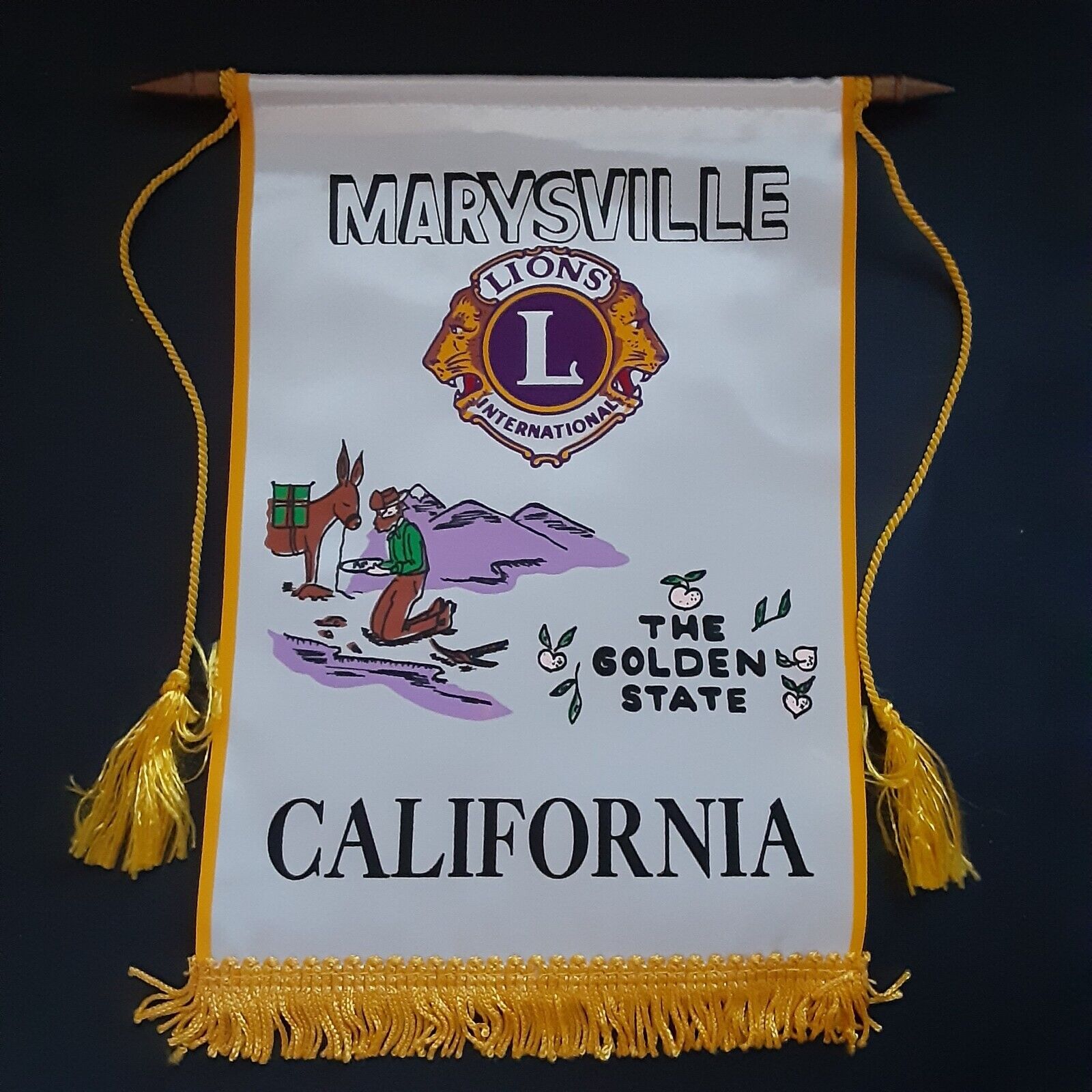 Lions Club International Banner Weaverville CA California \