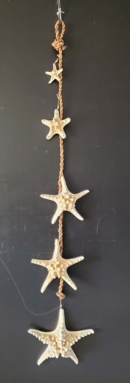 Real Natural Authentic Starfish Lot of Five Various Sizes Tied To A Rope For Bat